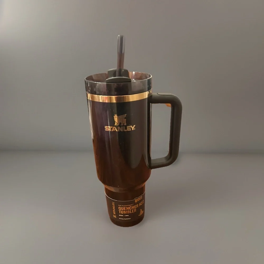 NWT Rare Stanley x Wicked 40oz The FlowState Quencher Tumbler Elphaba For Good - Picture 3 of 3